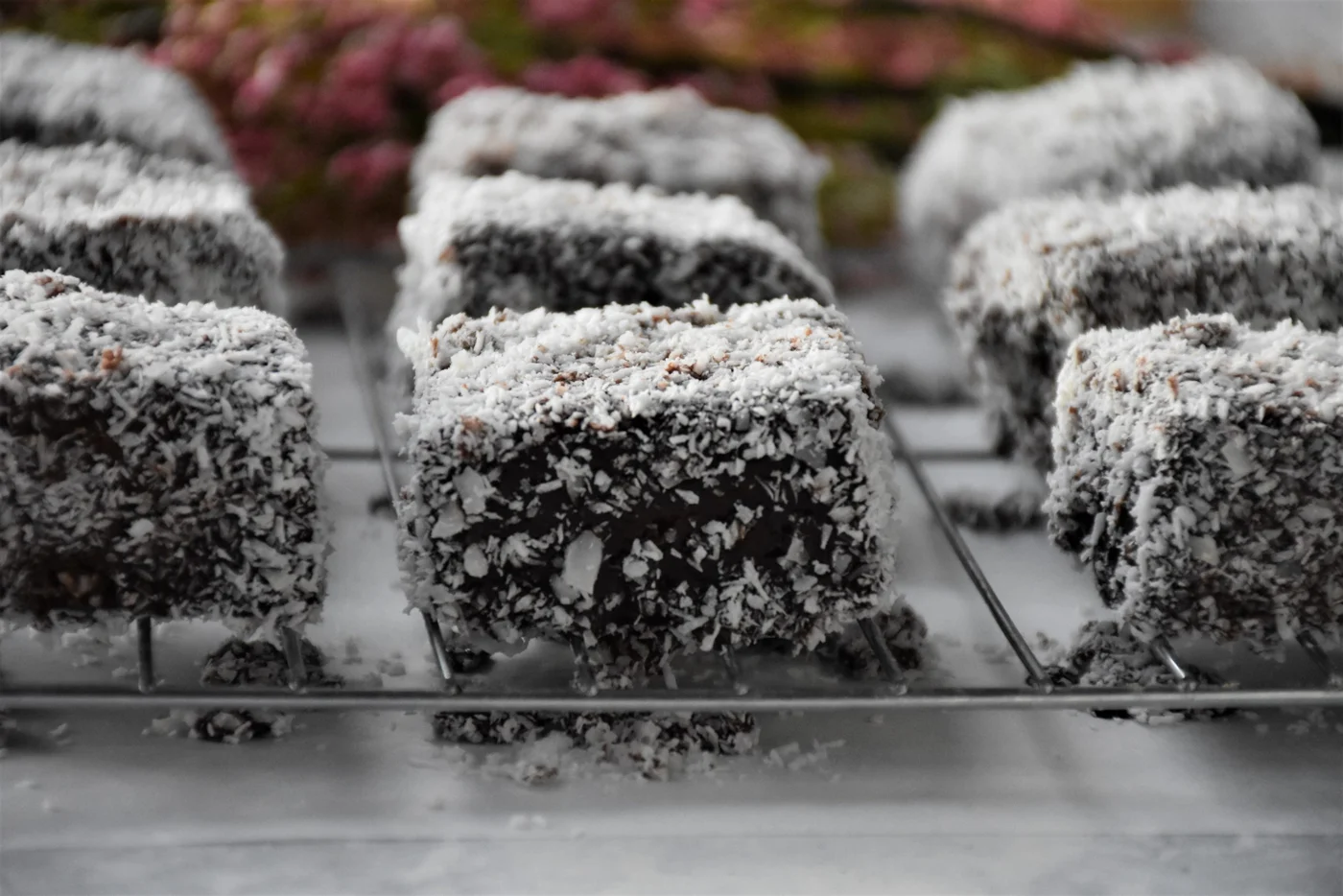 homemade lamington pieces