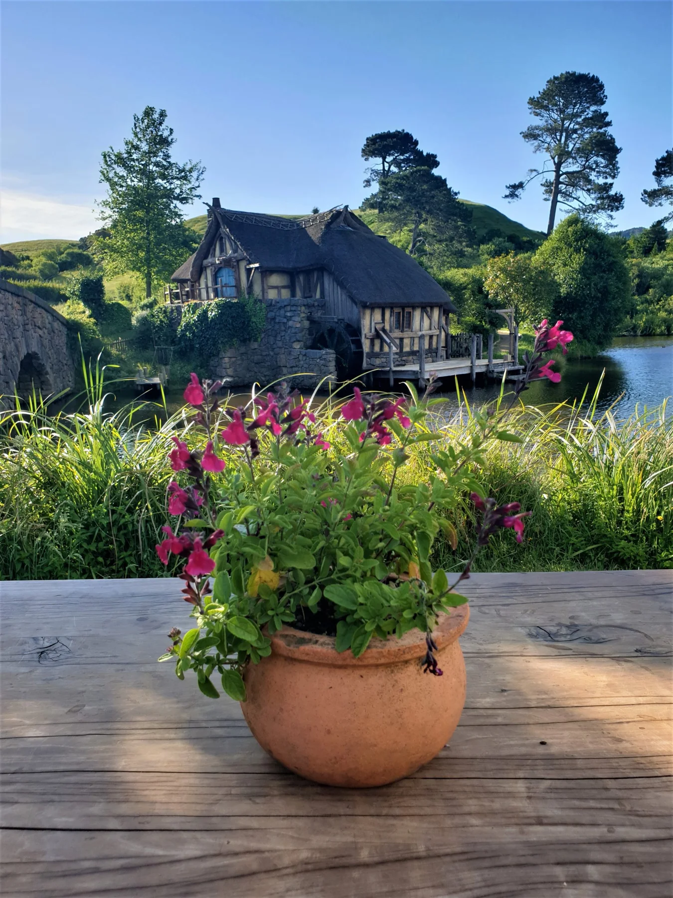 Discover Hobbiton