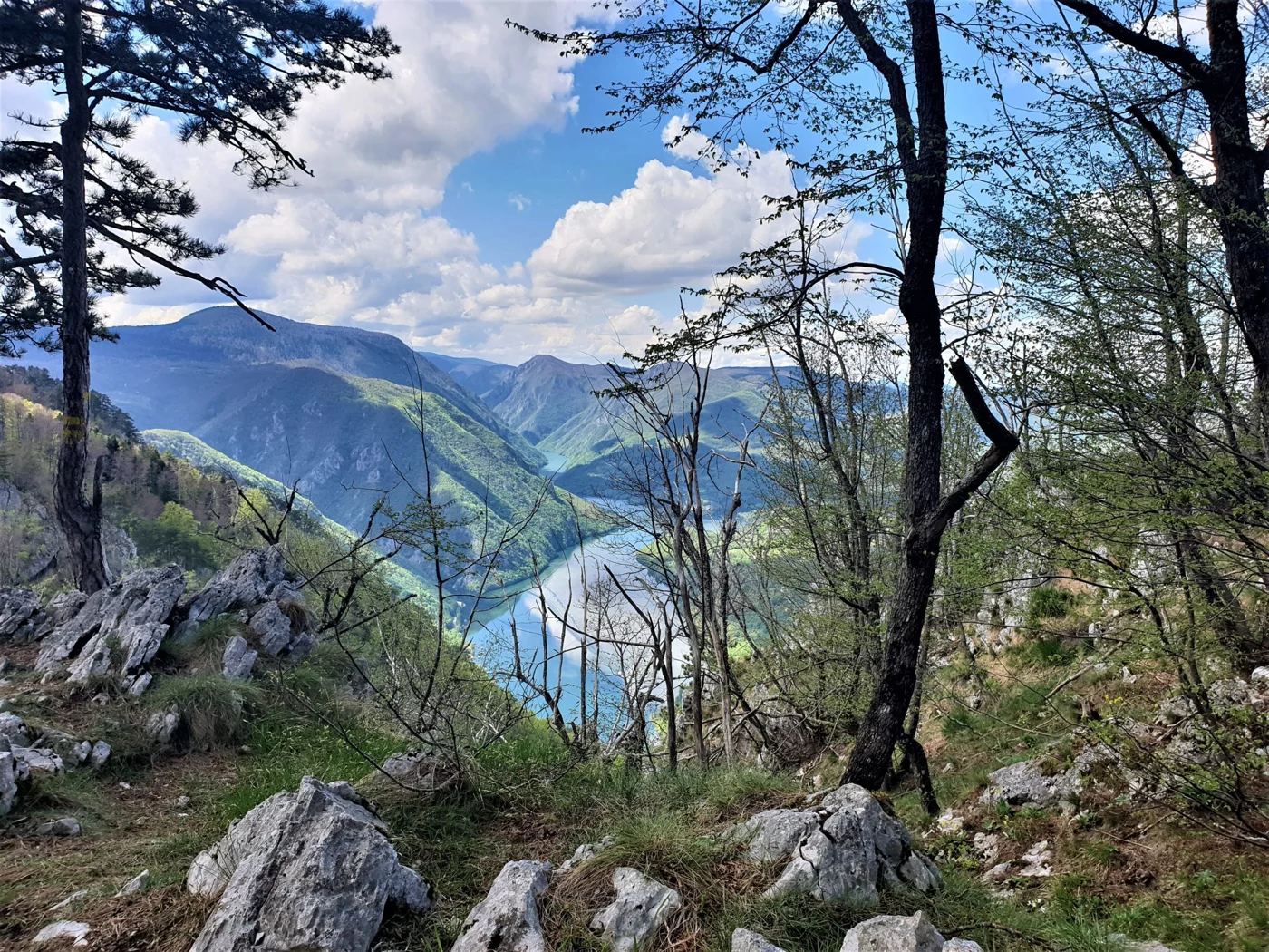 Tara National Park, Serbia