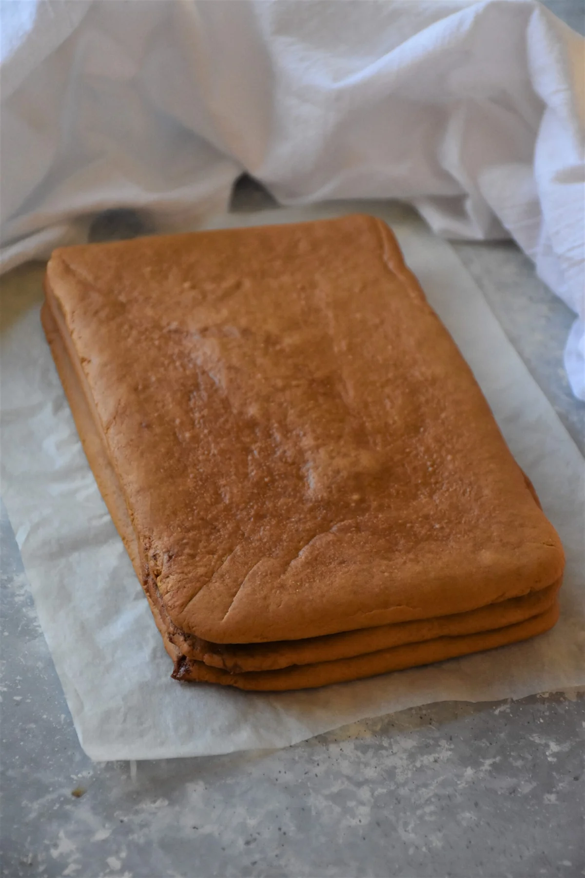 Honey Cake / Serbian Medena Pita