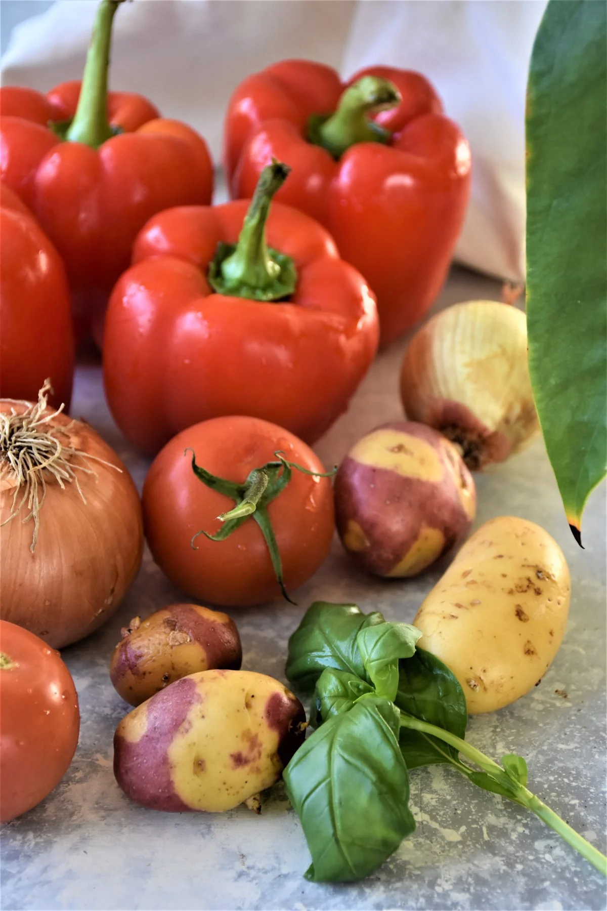 Roasted Red Pepper & Garlic Soup