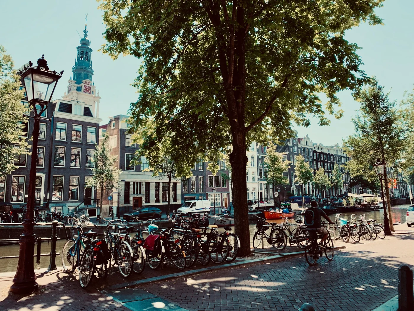bikes in the city