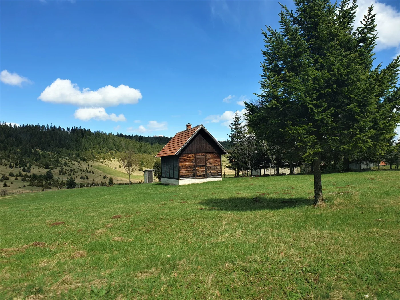 Tara National Park, Serbia