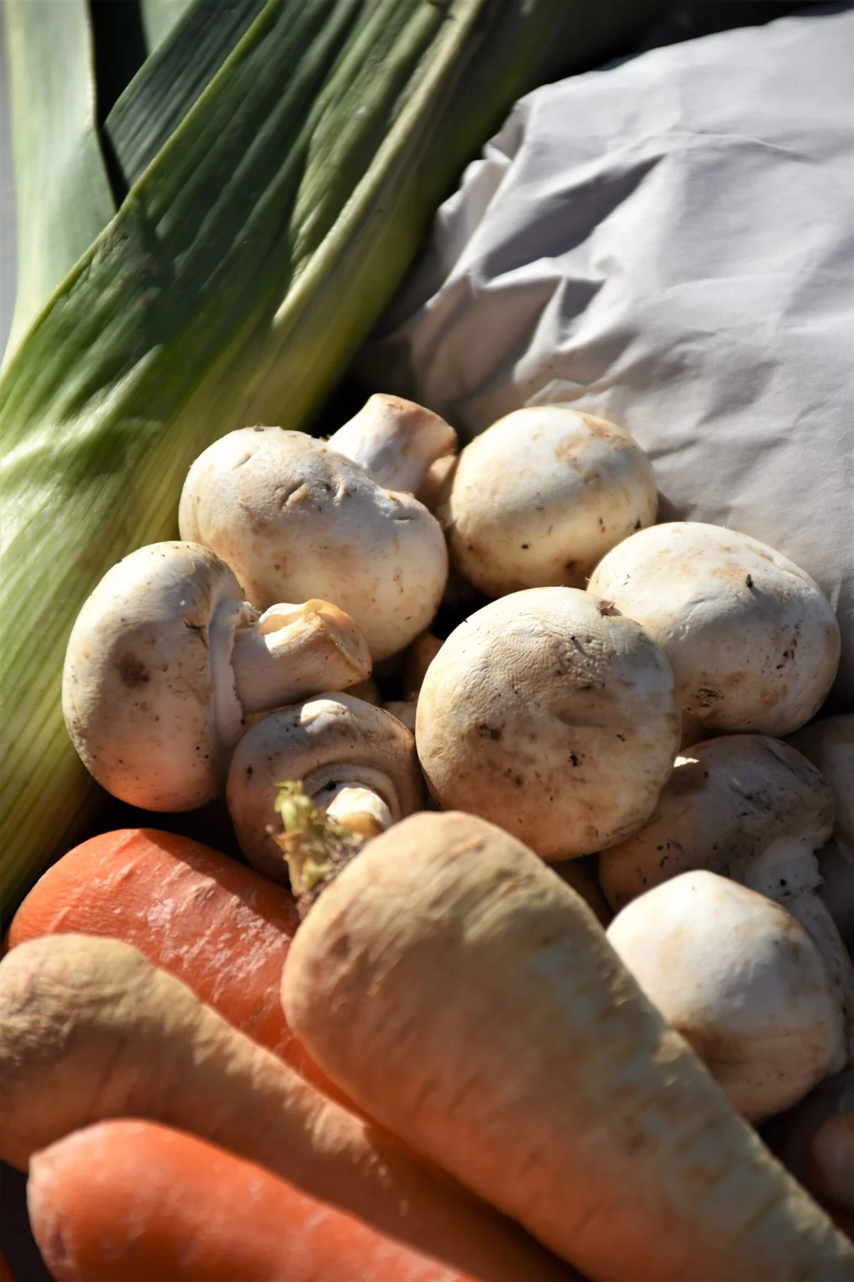 Beef & Mushroom Stew