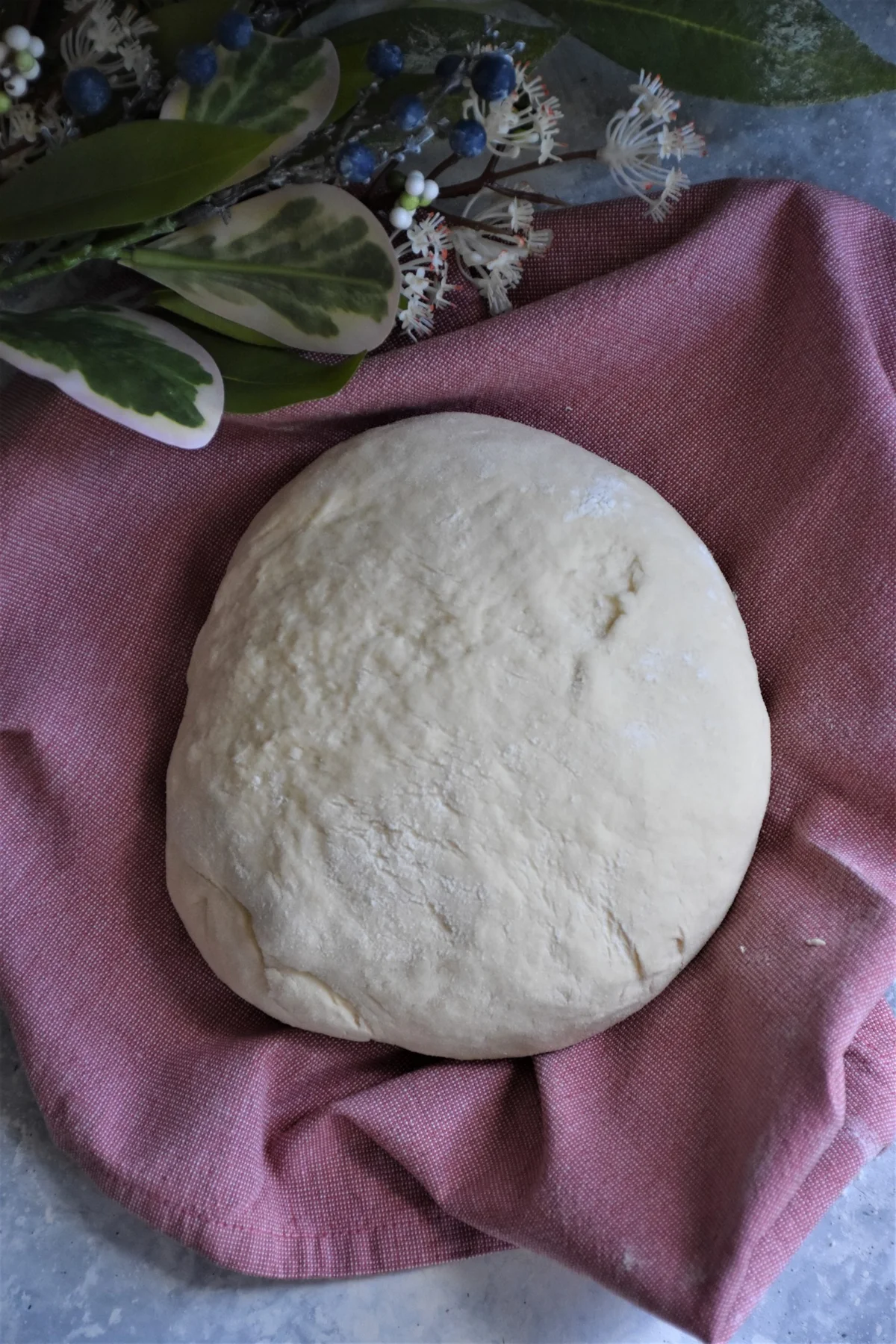 homemade bread dough
