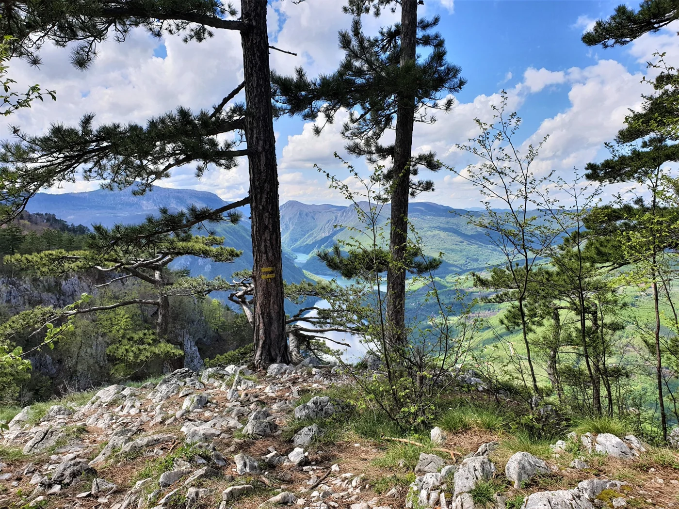 Tara National Park, Serbia