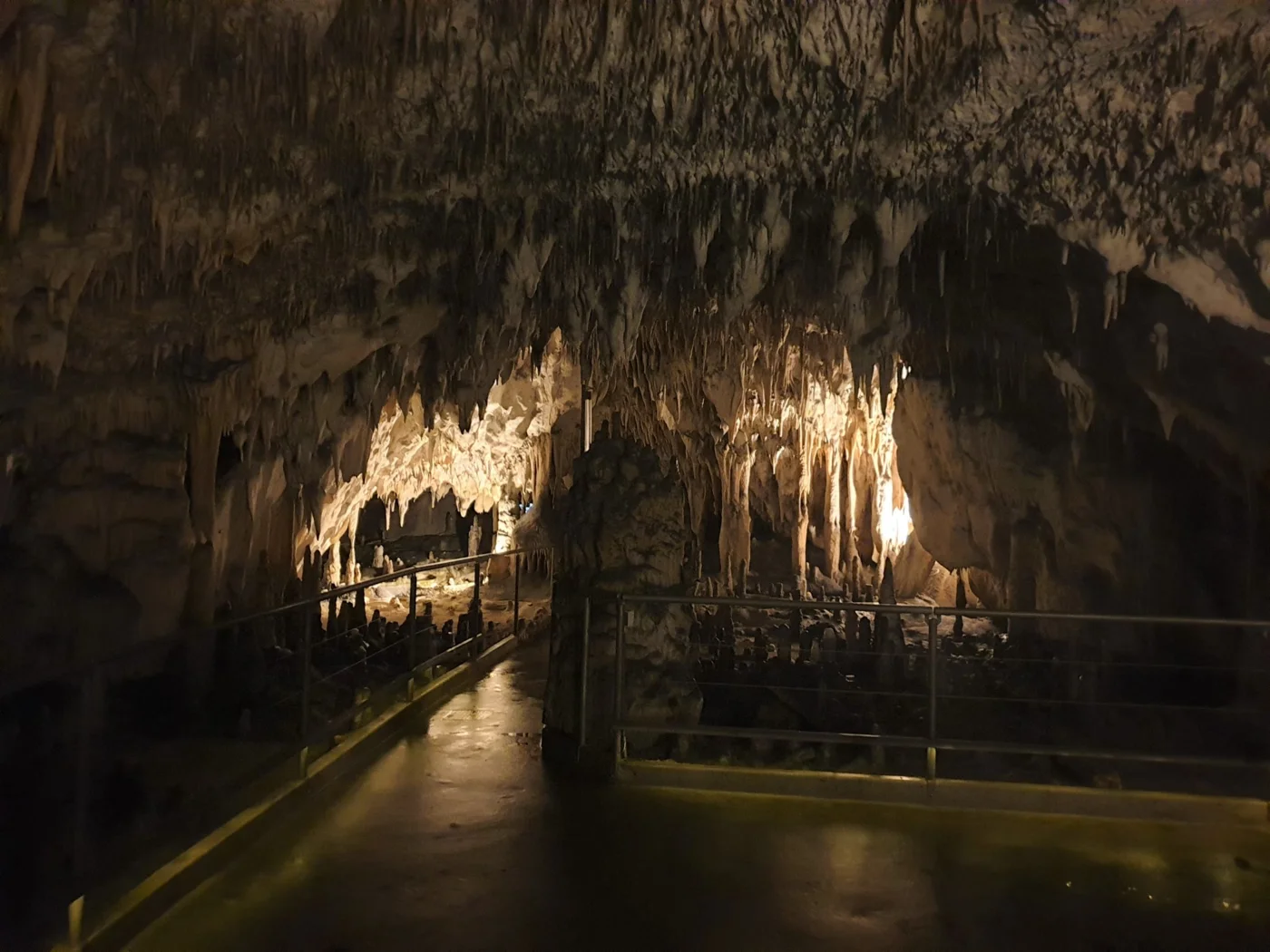 Postojna Caves, Vivarium