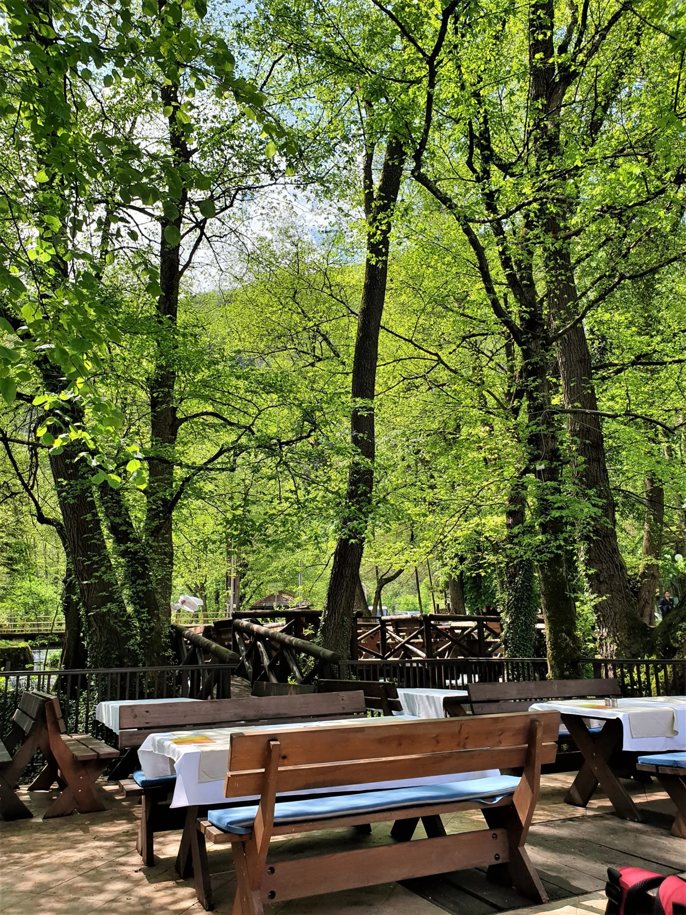 Tara National Park, Serbia