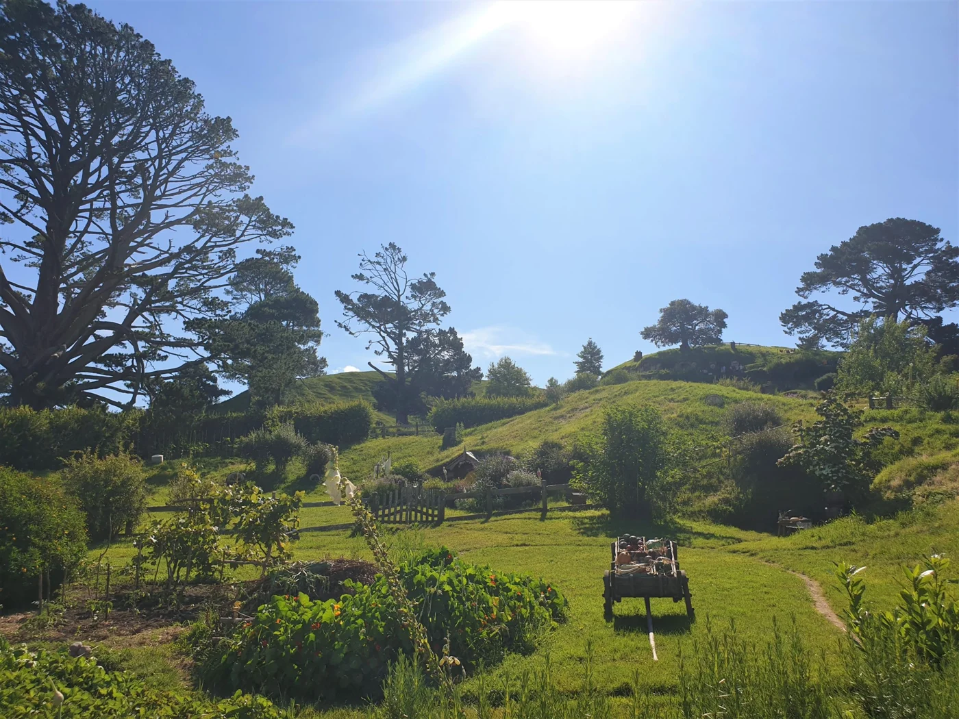 gardens of hobbiton