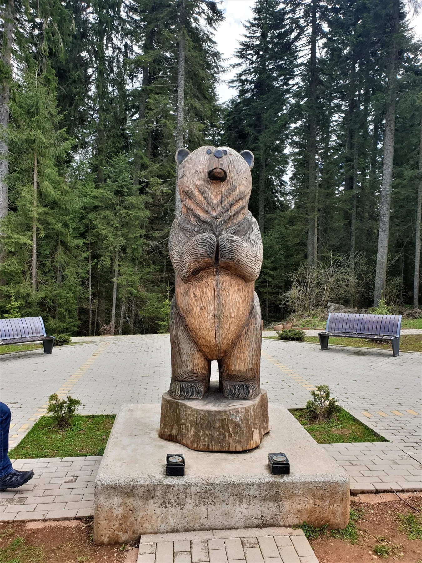 Tara National Park, Serbia